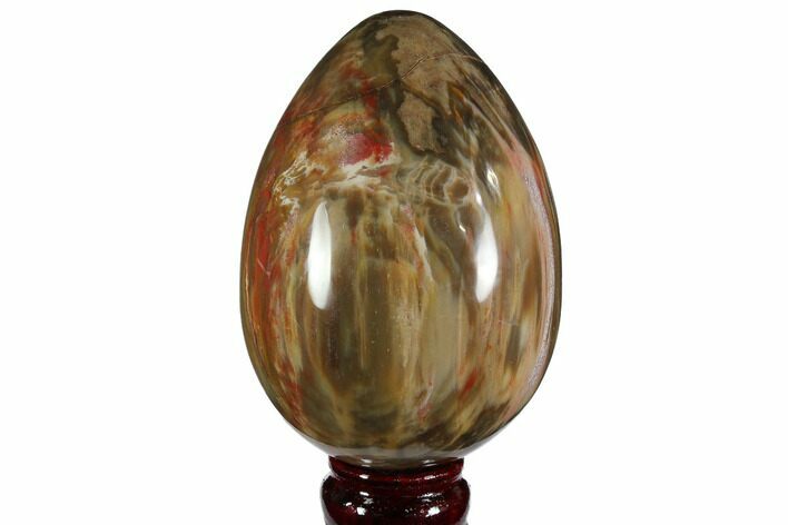 Colorful, Polished Petrified Wood Egg - Triassic #111032